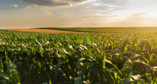 K-State Research & Extension Bookstore