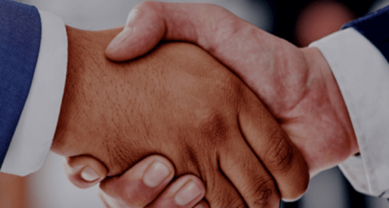 Vista Business Group